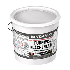 BINDAN-FL Flchenleim 2,5 kg